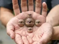 天人合一解析：什么是天人合一？(传统养生功法常见问题FAQ)