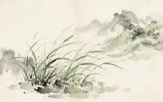芒种夏至指南：一年阳气最盛时怎么练不伤津？(传统养生功法常见问题FAQ)